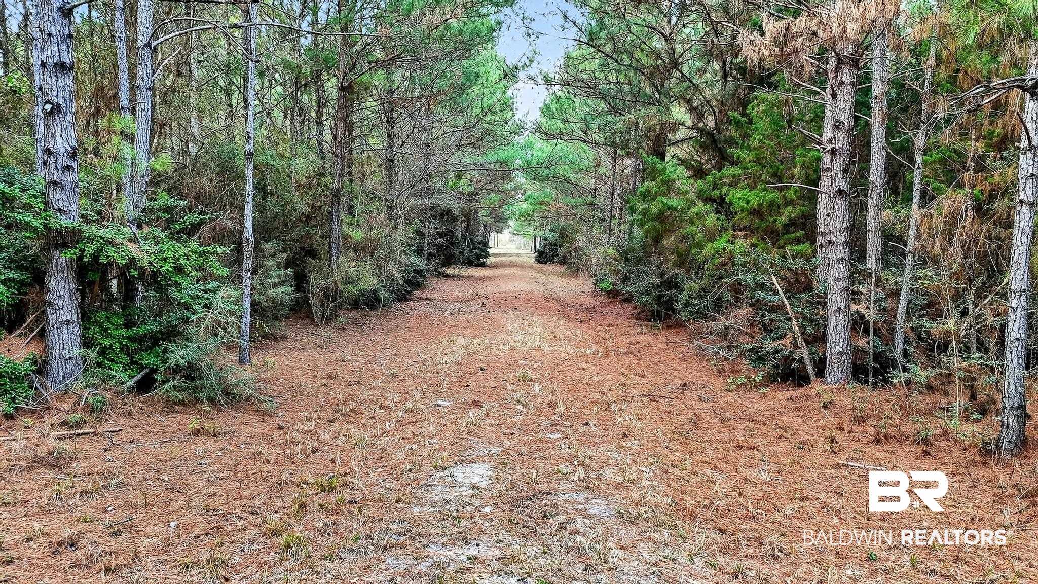 0 Hemley Road Bayou La Batre, AL 36509 - Photo 19 of 28