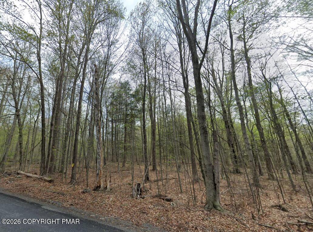 Wallace Road Lake Ariel, PA 18436 - Photo 5 of 8 Screenshot 2026-04-13 055405