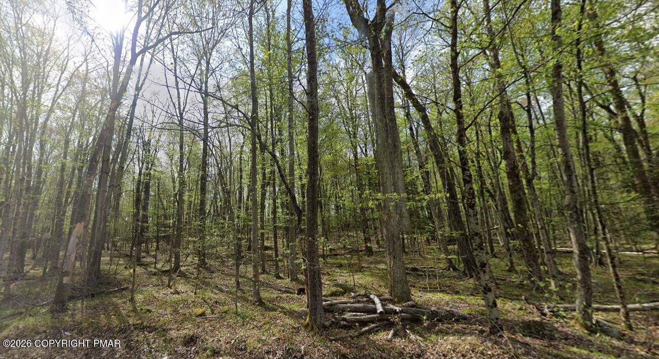 Wallace Road Lake Ariel, PA 18436 - Photo 6 of 8 Screenshot 2026-04-13 055847