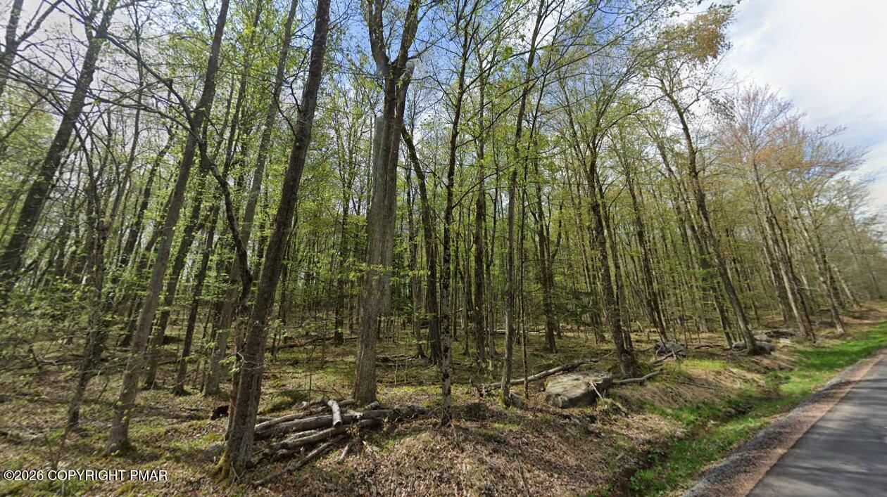 Wallace Road Lake Ariel, PA 18436 - Photo 7 of 8 Screenshot 2026-04-13 055909