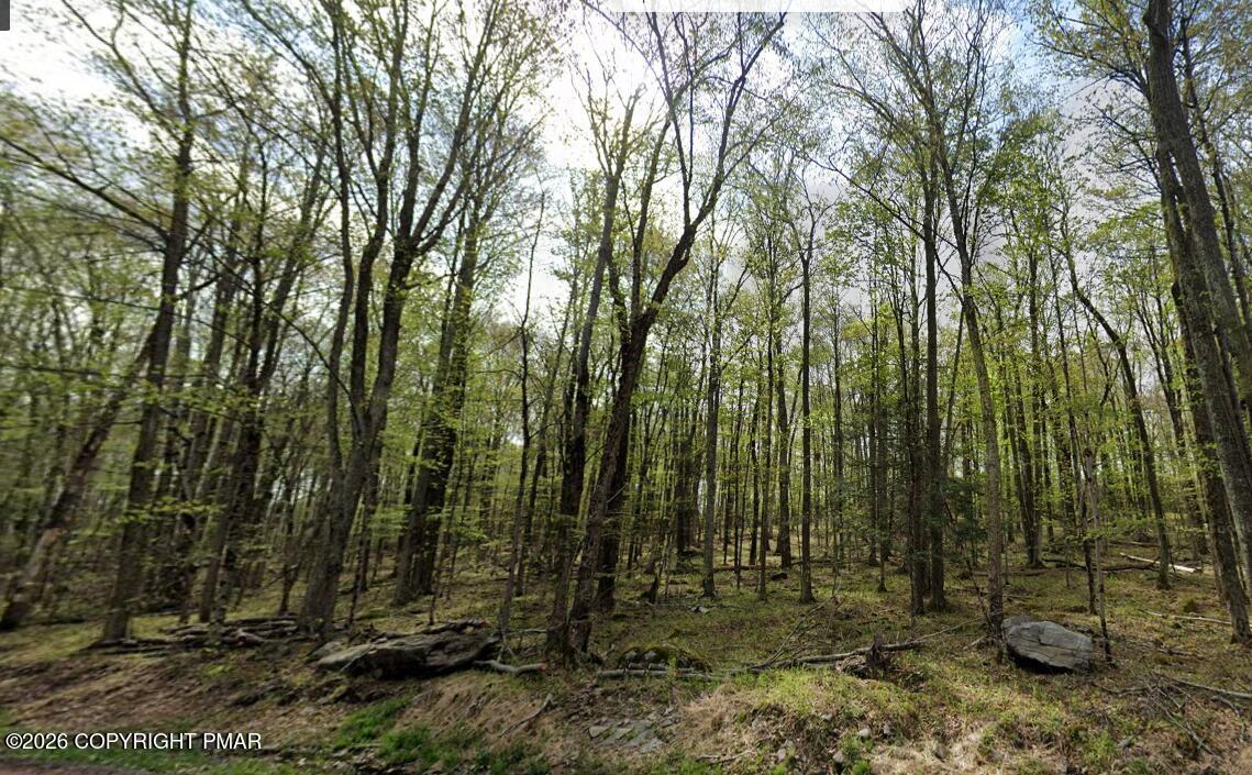 Wallace Road Lake Ariel, PA 18436 - Photo 8 of 8 Screenshot 2026-04-13 055959