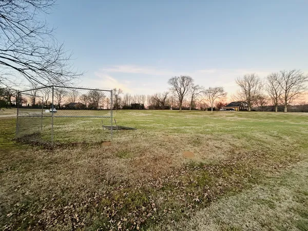 a view of a green field with an trees