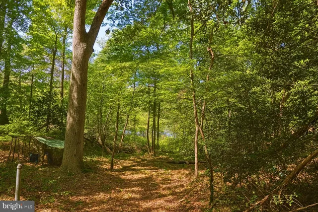 a backyard of a house with lots of trees