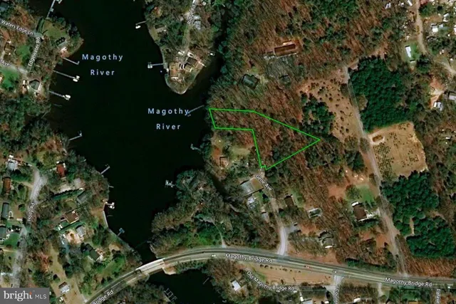 a view of a tree with a tree