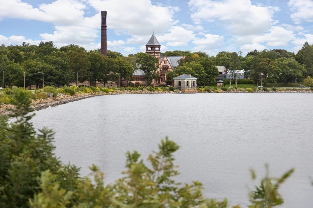177 Winthrop Road, Unit 3 Brookline, MA 02445 - Photo 17 of 22 a view of a lake with a city