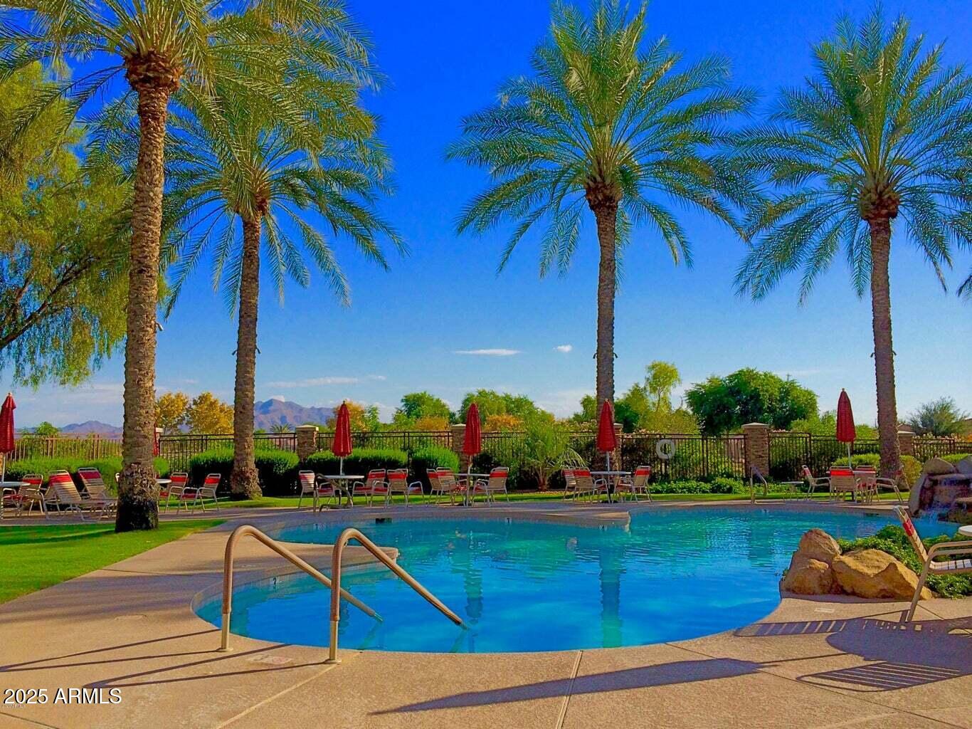 4148 East Walnut Road Gilbert, AZ 85298 - Photo 54 of 64 Resort Pool