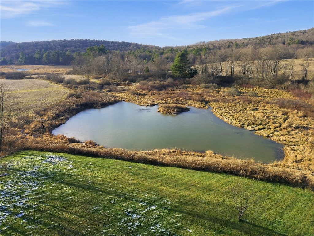 399 Beaver Meadow Road Middlefield, NY 13326 - Photo 12 of 46