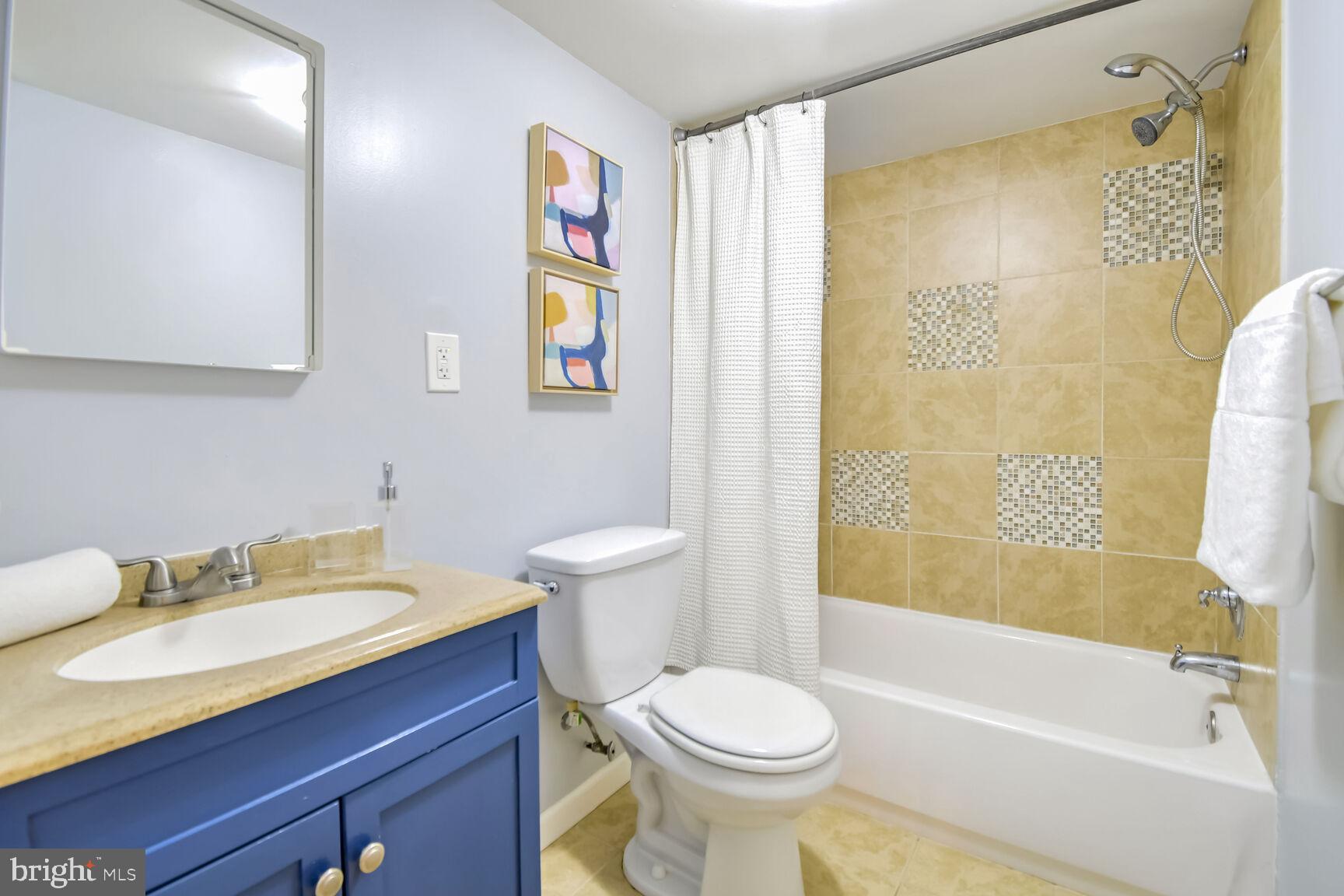 6626 Blair Road Northwest Washington, DC 20012 - Photo 22 of 30 Lower level full bath