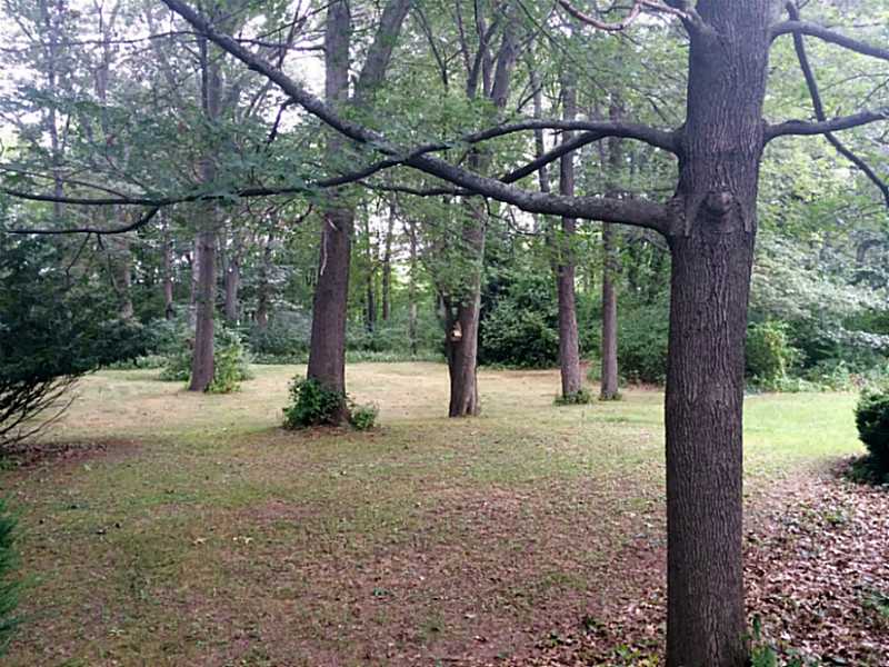 100 Edmund Street Woonsocket, RI 02895 - Photo 5 of 6 Yard/Garden.