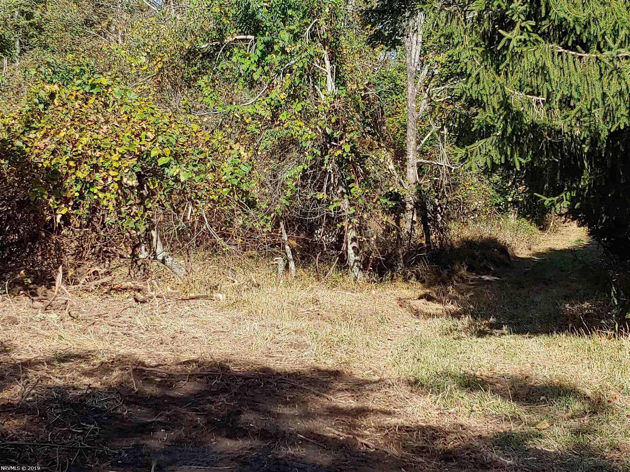Old Fields Road Floyd, VA 24091 - Photo 3 of 10 Gallery Image 3