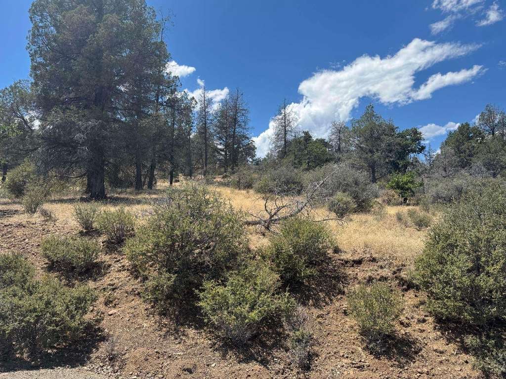 Unit 4-lot 711 Clark Road Hornbrook, CA 96044 - Photo 8 of 33 Gallery Image 8