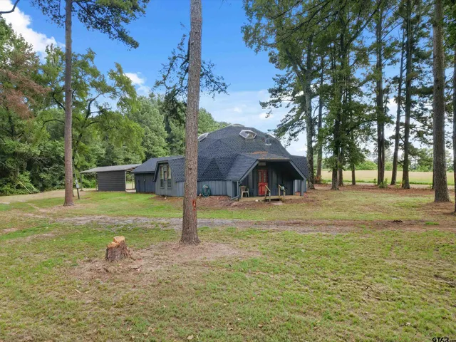 a view of a large tree in front of a house