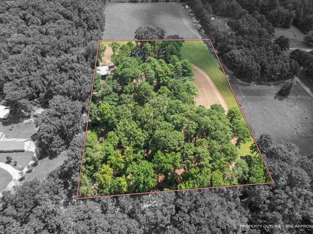 a view of a garden with a flower garden