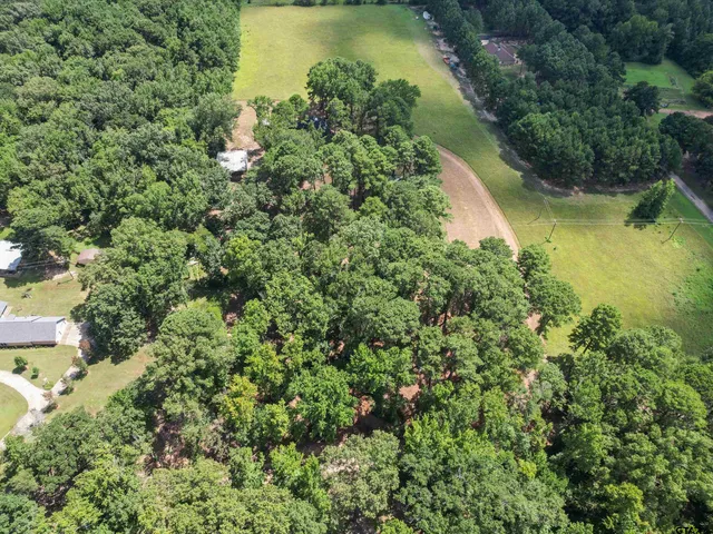 an aerial view of residential houses with outdoor space and trees