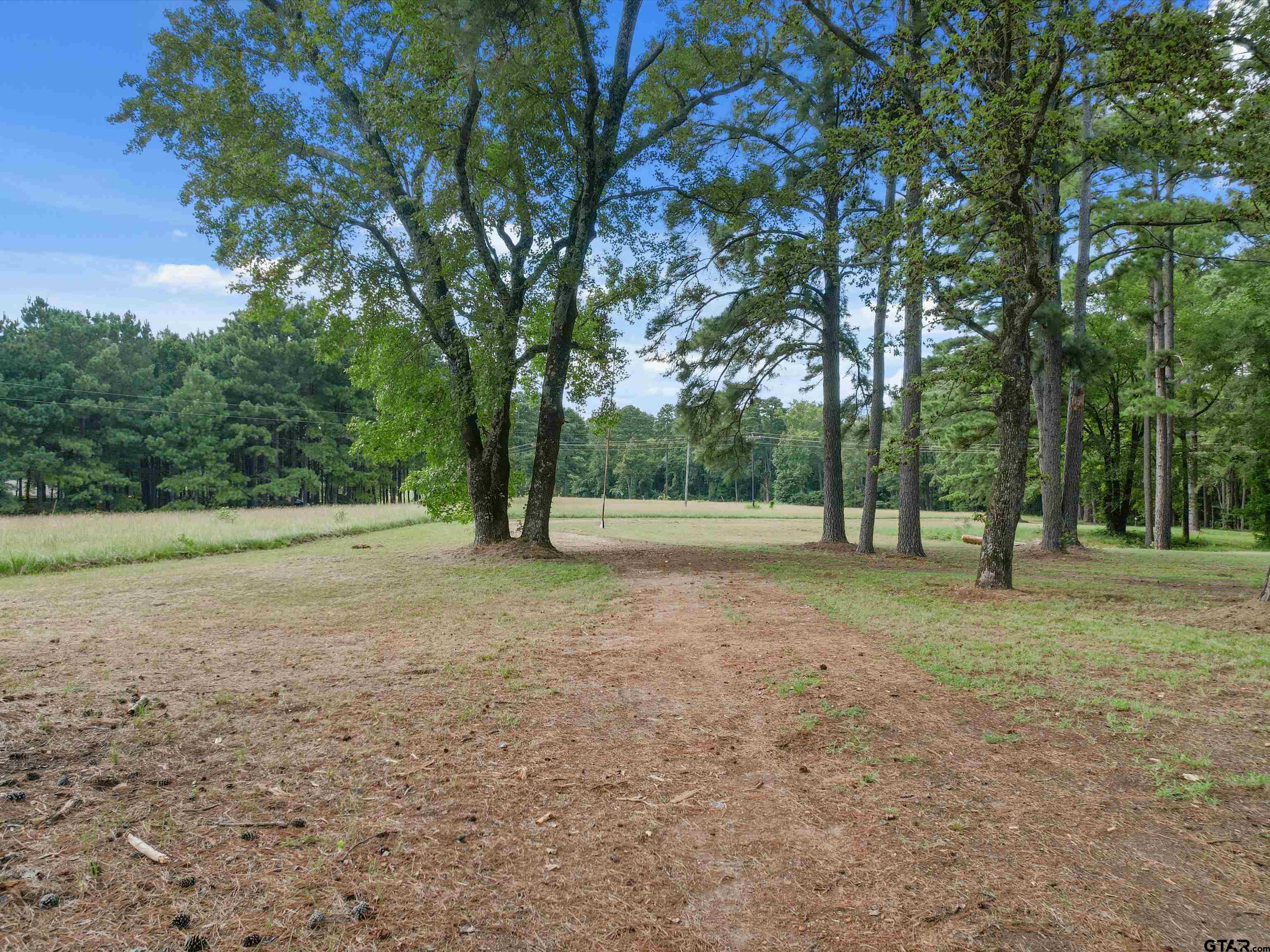 637 County Road 3201 Daingerfield, TX 75638 - Photo 8 of 33 a view of outdoor space with tree s