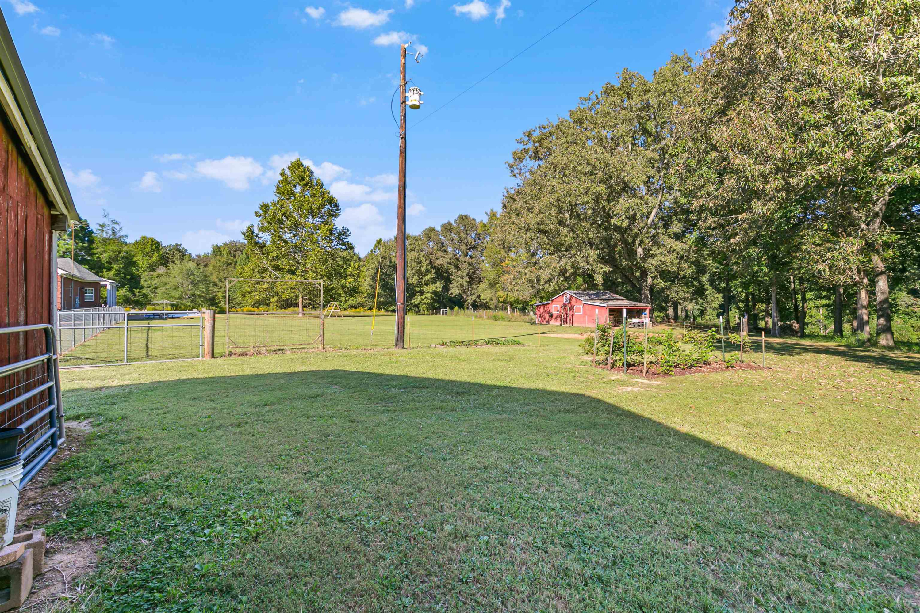 400 Hughes Road East Jackson, TN 38305 - Photo 6 of 36 a garden with trees