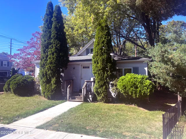 a view of a backyard with potted plants and large trees