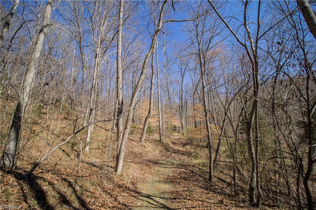 Lot 25 Mission Road Danbury, NC 27016 - Photo 5 of 13 Gallery Image 5