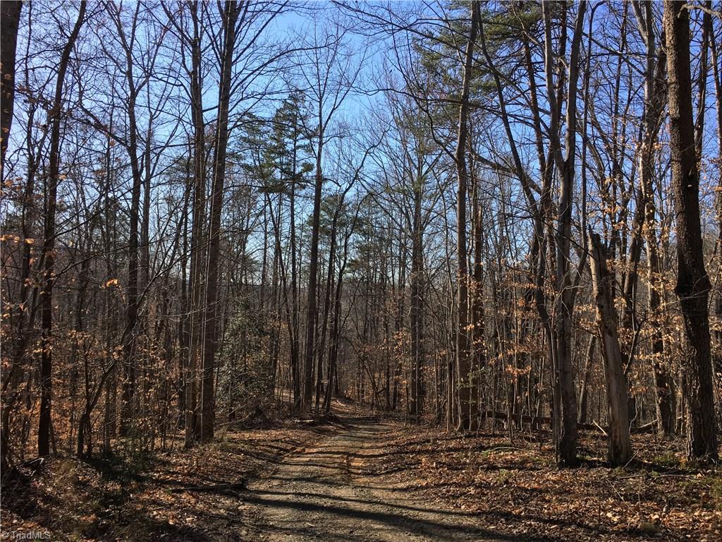 Lot 25 Mission Road Danbury, NC 27016 - Photo 7 of 13 Gallery Image 7