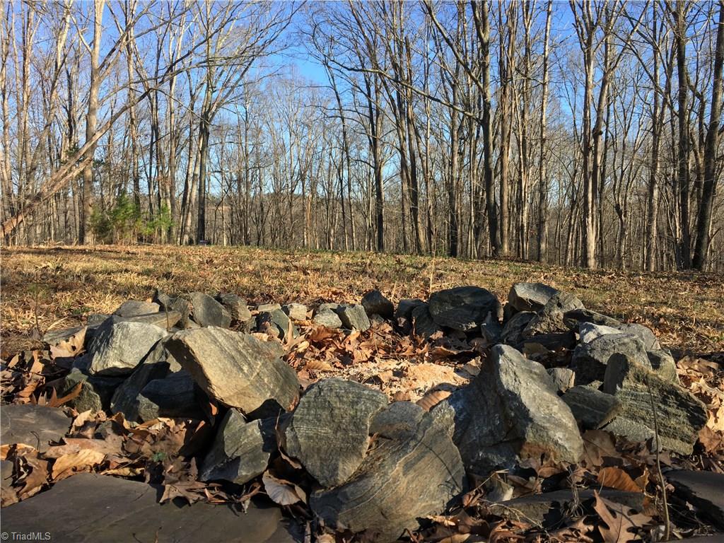 Lot 25 Mission Road Danbury, NC 27016 - Photo 8 of 13 Gallery Image 8