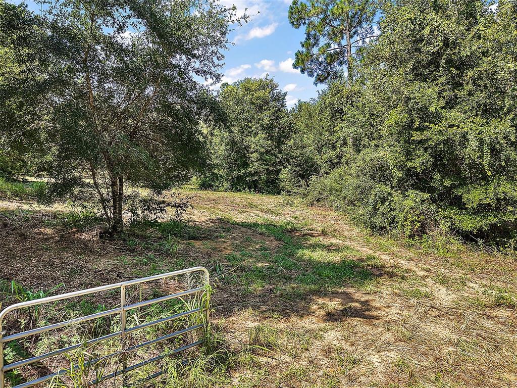 21097 County Road 455 Clermont, FL 34715 - Photo 49 of 53