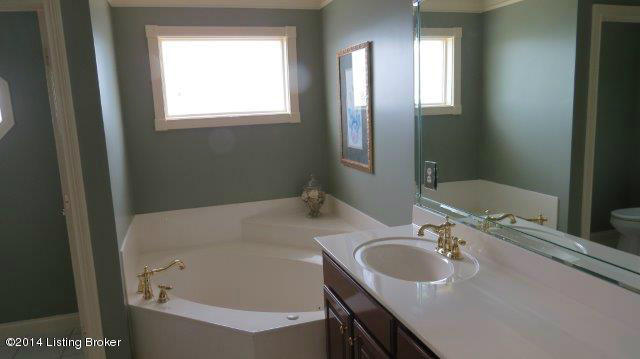 1906 Hillcircle Road Louisville, KY 40214 - Photo 15 of 63 master bath