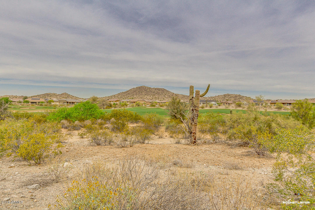 18140 West Narramore Road Goodyear, AZ 85338 - Photo 54 of 59 55-Narramore