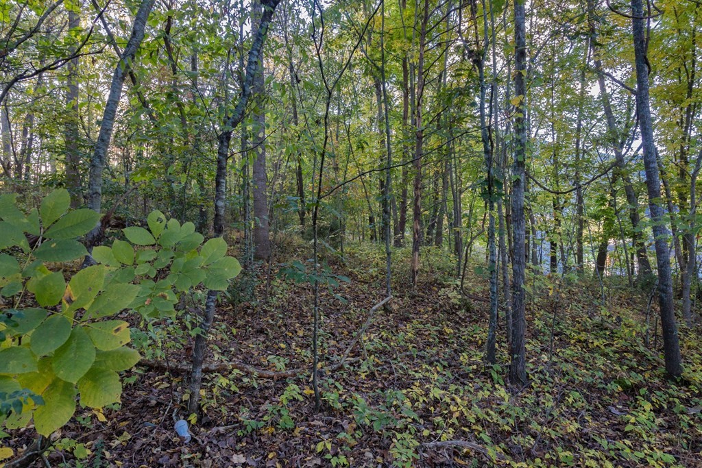 6 Spring View Drive Sevierville, TN 37862 - Photo 11 of 16