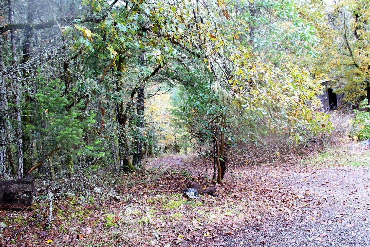 3455 West Side Road Cave Junction, OR 97523 - Photo 8 of 9 Additional Photo