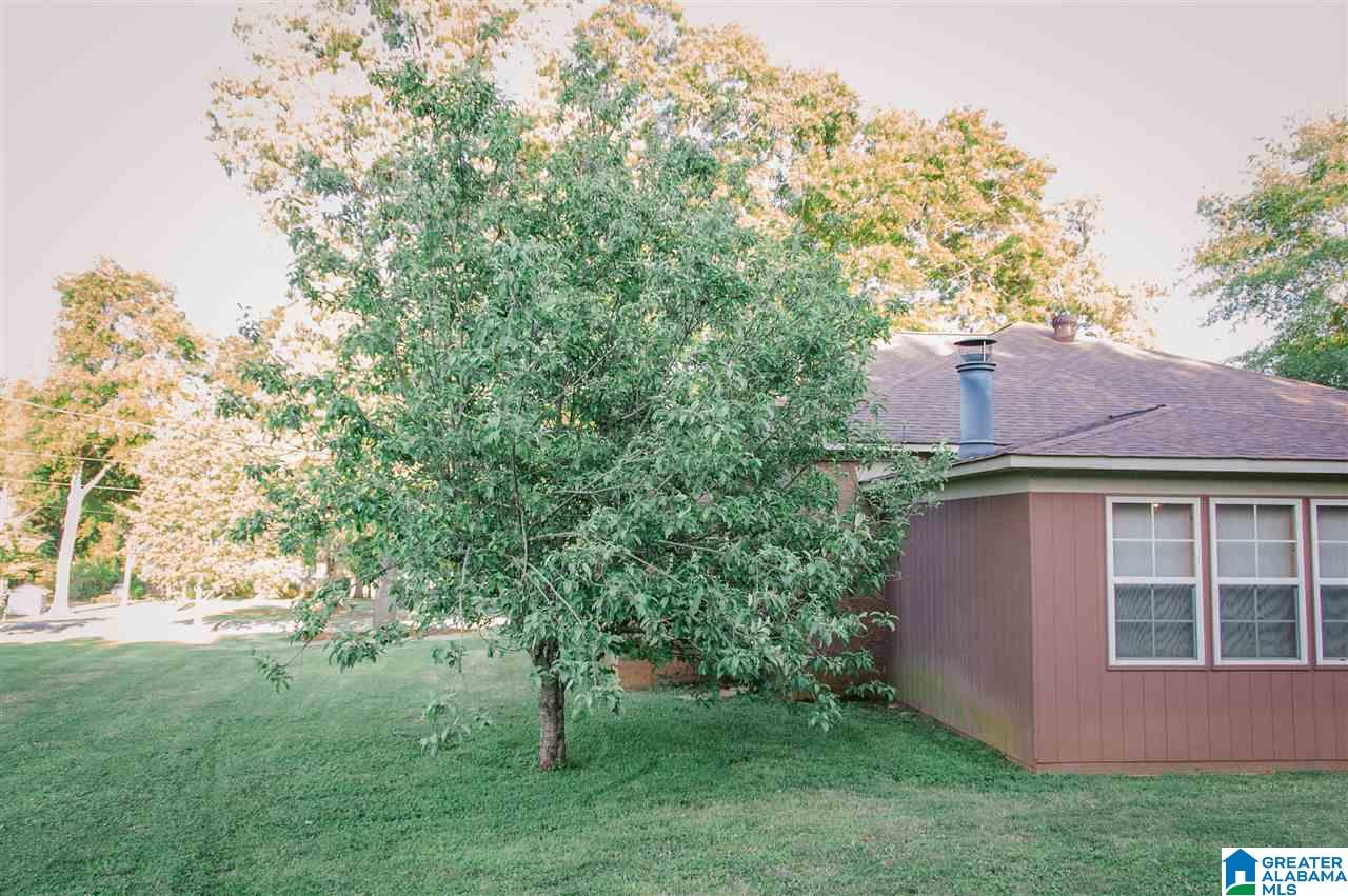 165 Pine View Circle Remlap, AL 35133 - Photo 14 of 48