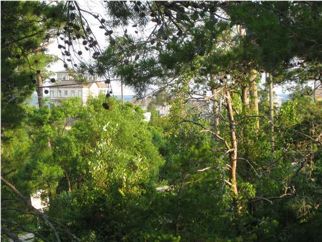 996 Allen Loop Drive Santa Rosa Beach, FL 32459 - Photo 7 of 9 Gallery Image 7