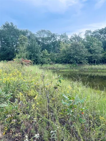 a view of yard with large tree