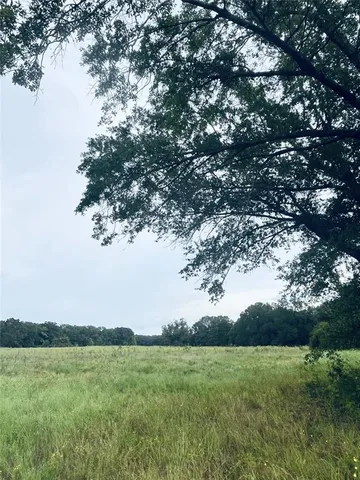 a view of a lush green outdoor space with a lake view