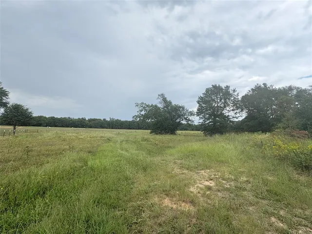 a city view with ocean view