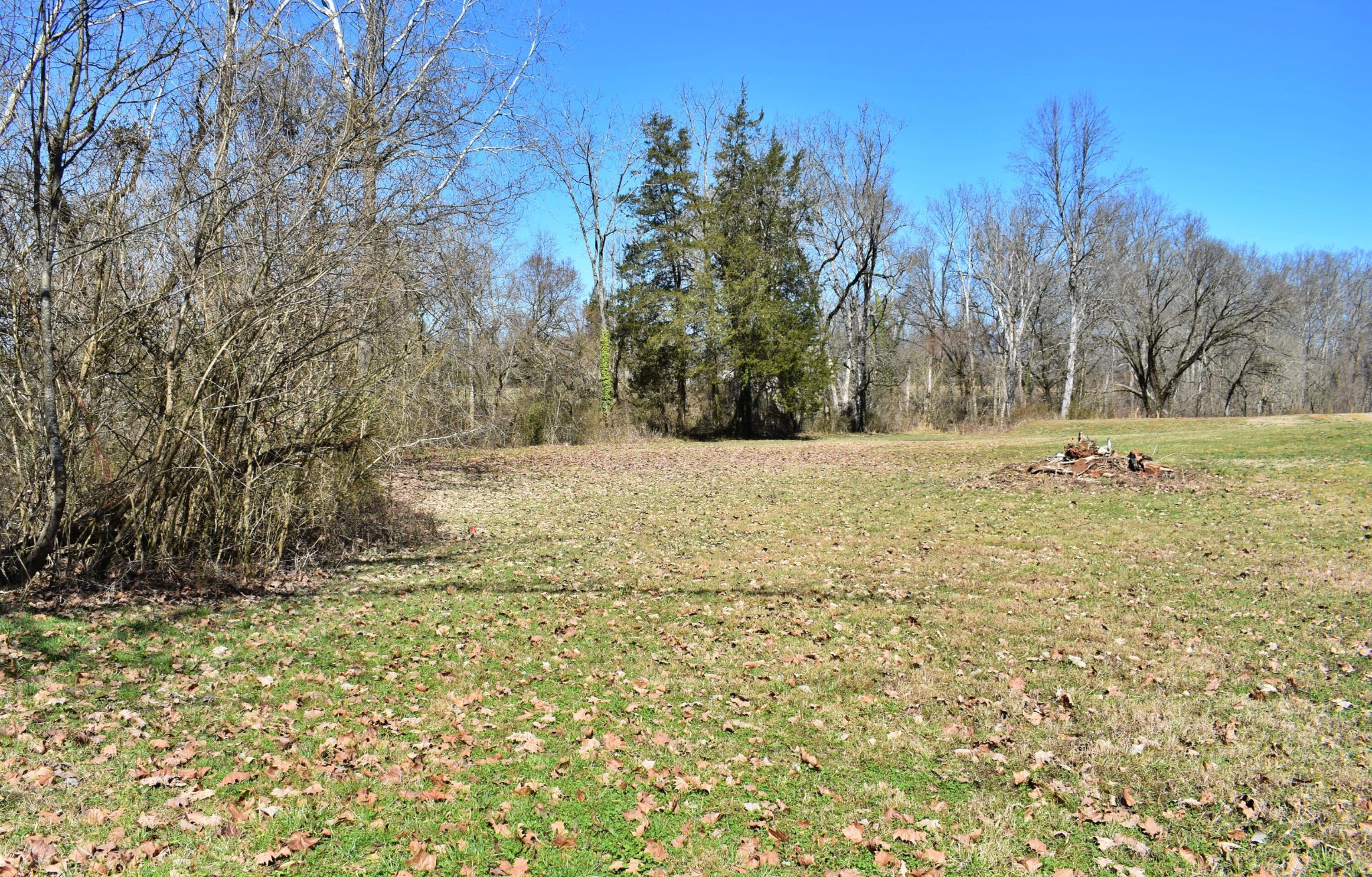 736 Mahoney Road Oliver Springs, TN 37840 - Photo 2 of 53