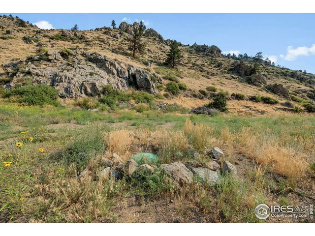 a view of a dry yard