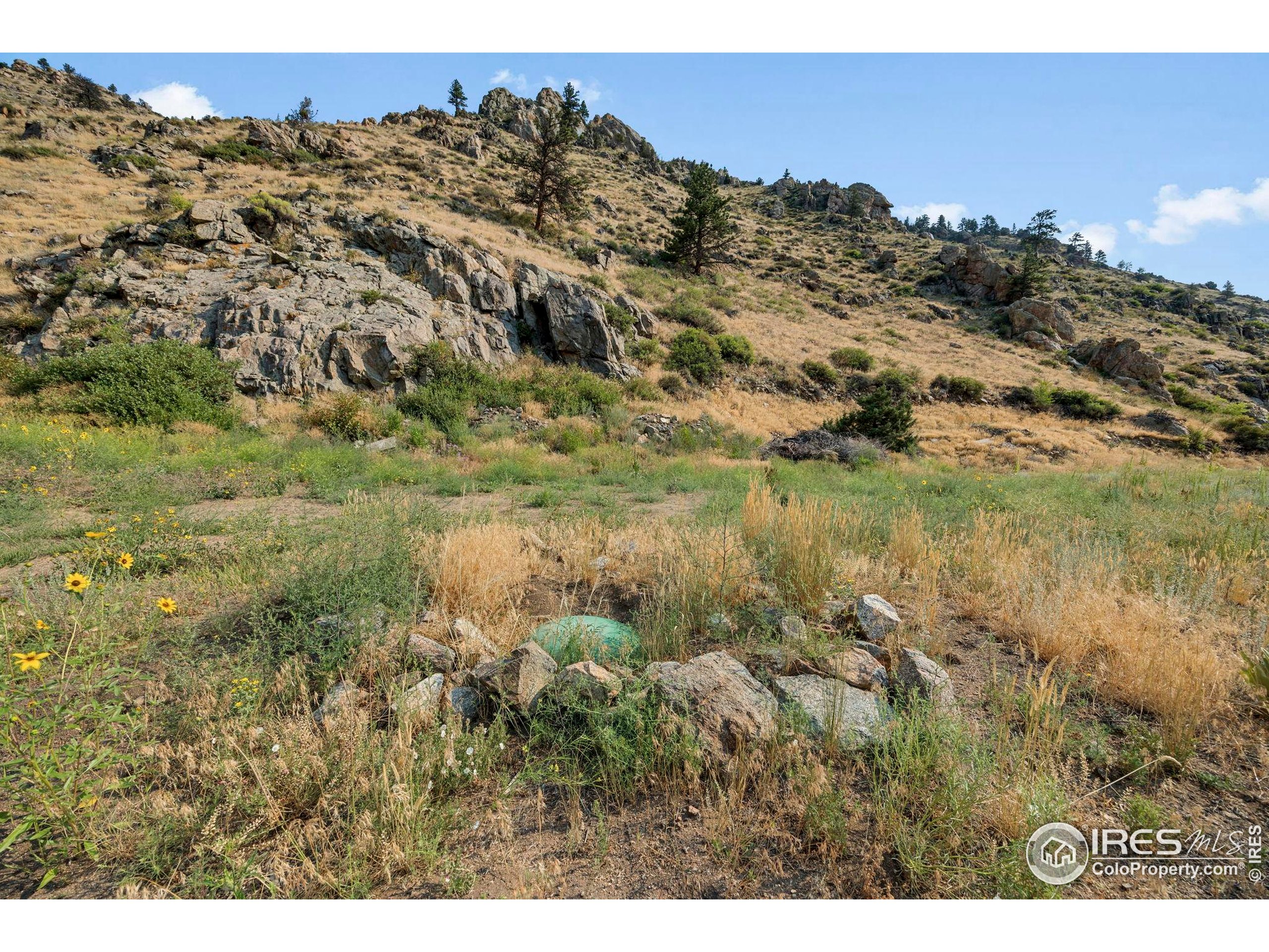 33032 Poudre Canyon Road Bellvue, CO 80512 - Photo 9 of 10 a view of a field