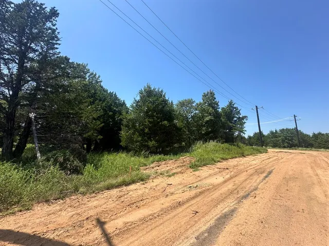 a view of backyard with plants and trees