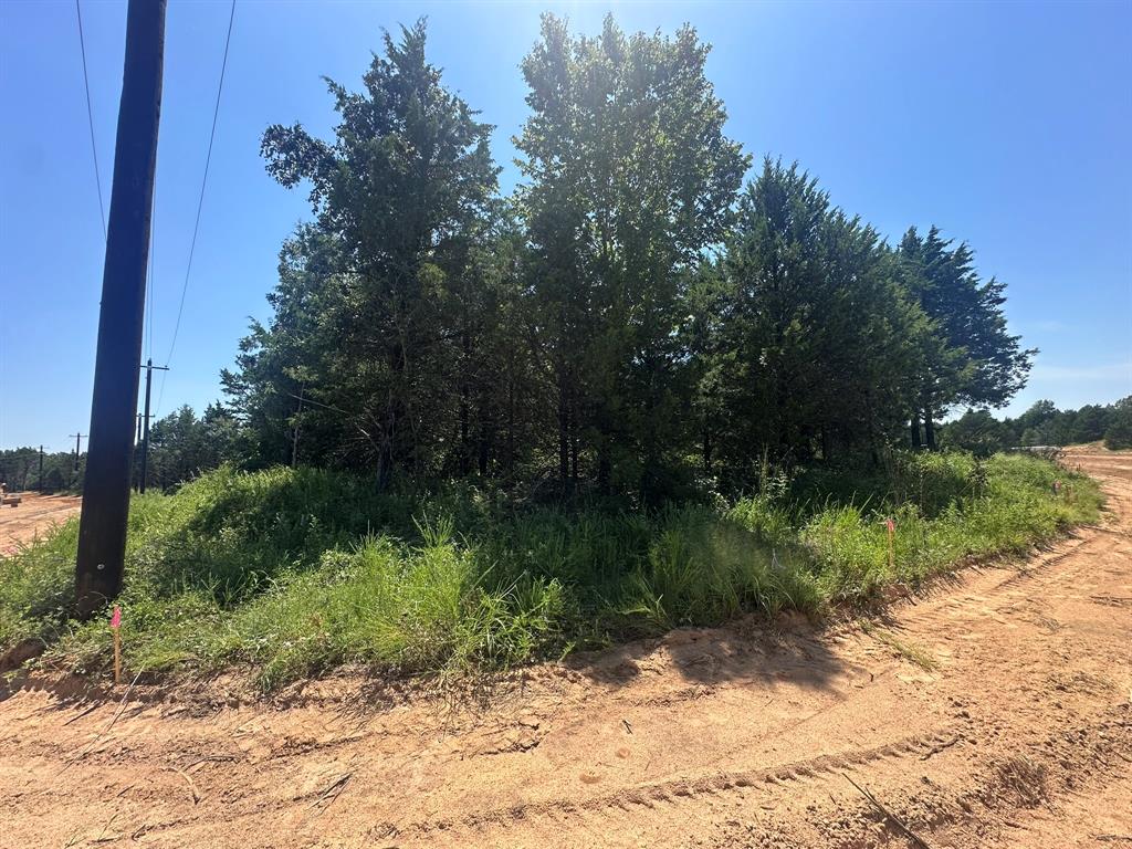Tbd Tbd Reflection Bay Boulevard Gordonville, TX 76245 - Photo 3 of 24 a backyard of a house with lots of green space