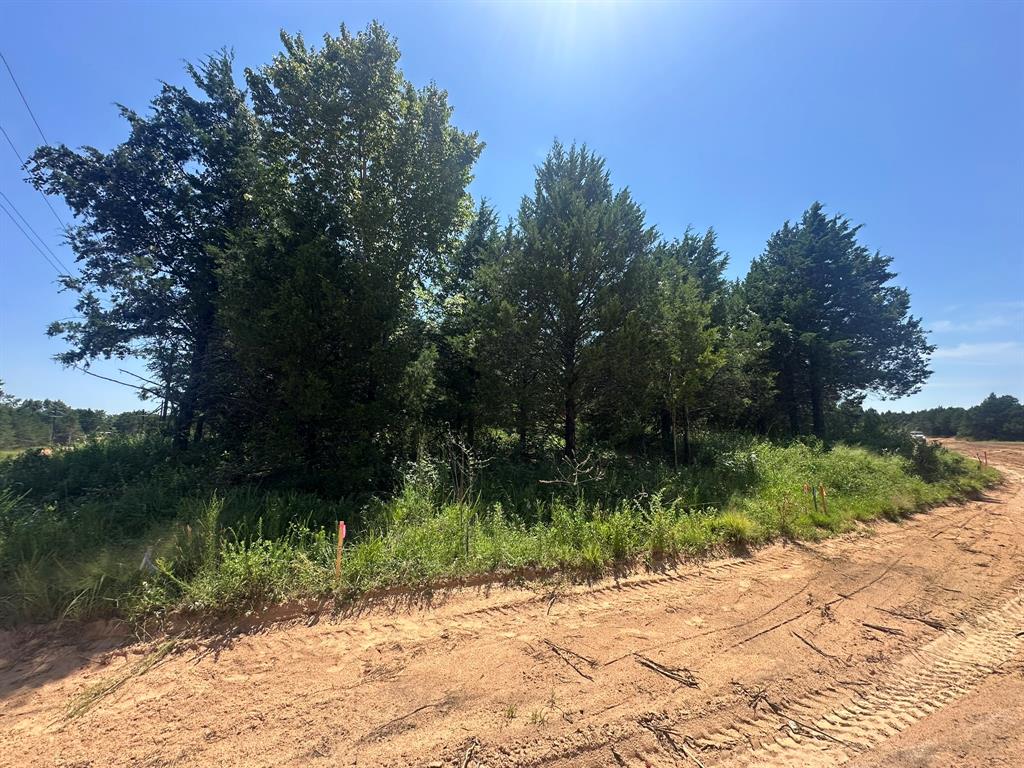 Tbd Tbd Reflection Bay Boulevard Gordonville, TX 76245 - Photo 4 of 24 a wooden bench with a lake view