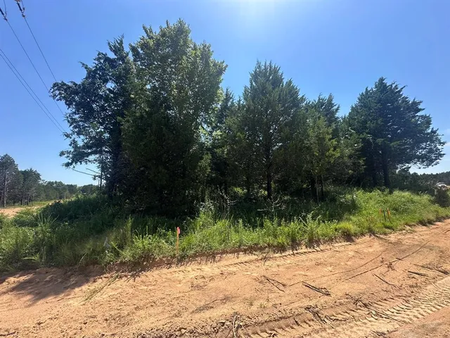 a view of a pathway both side of yard