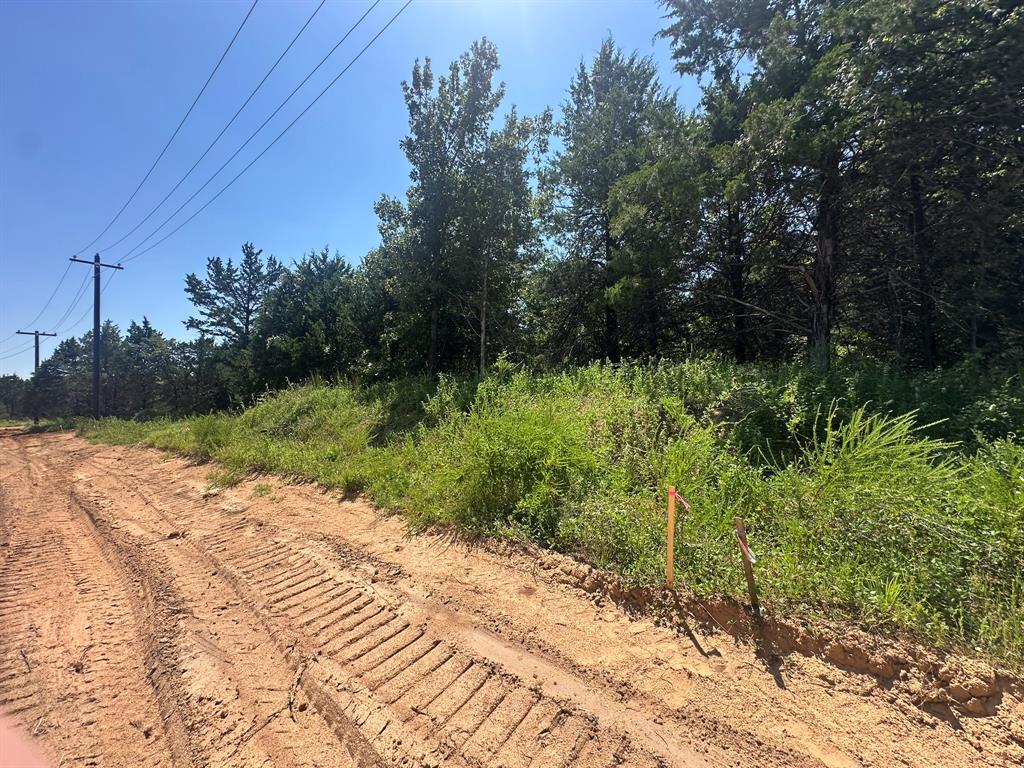 Tbd Tbd Reflection Bay Boulevard Gordonville, TX 76245 - Photo 8 of 24 a view of a backyard