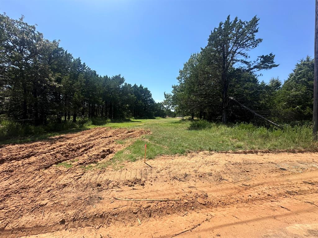 Tbd Tbd Reflection Bay Boulevard Gordonville, TX 76245 - Photo 9 of 24 a view of a backyard with green space