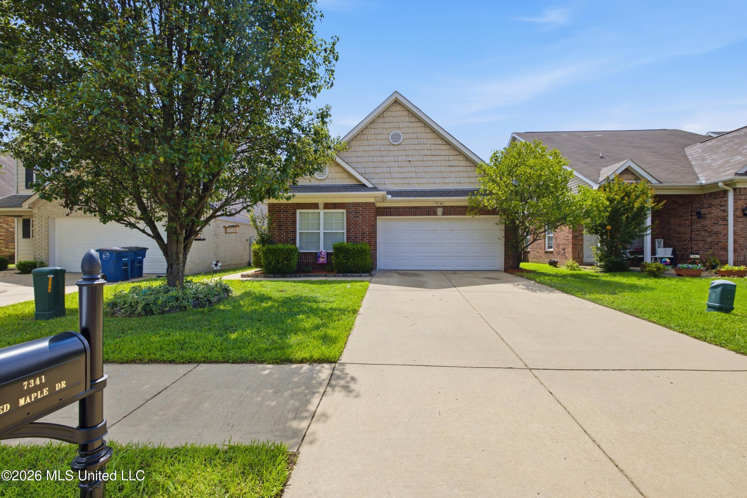 7341 Red Maple Drive Olive Branch, MS 38654 - Photo 28 of 28 934A8067_40555c5d