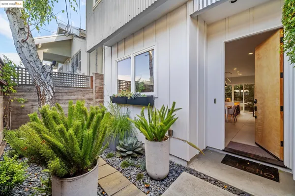 a potted plant sitting in front of a house