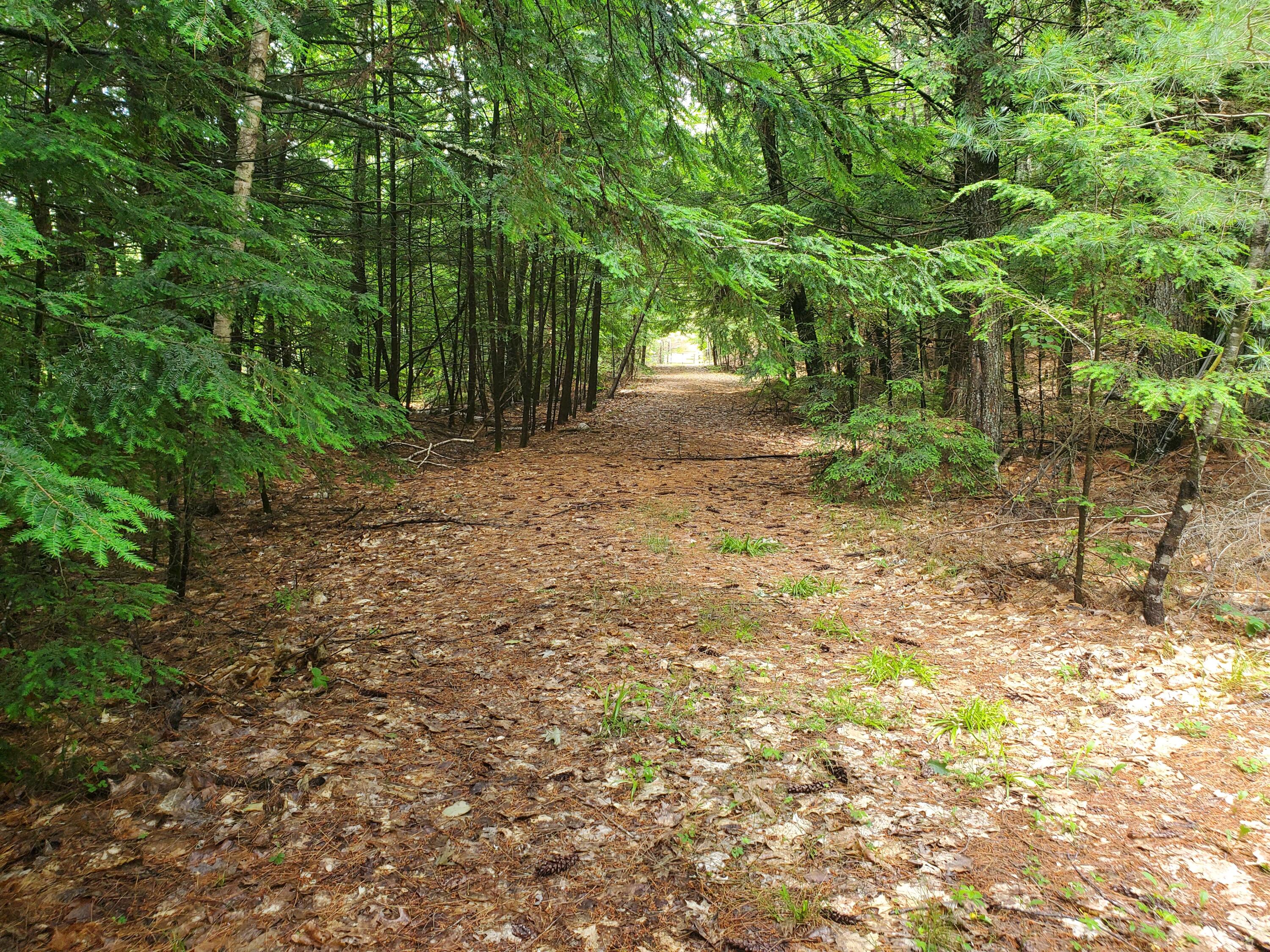 Lot #36 Beaver Brook Road Limerick, ME 04048 - Photo 4 of 18 20260626_134216