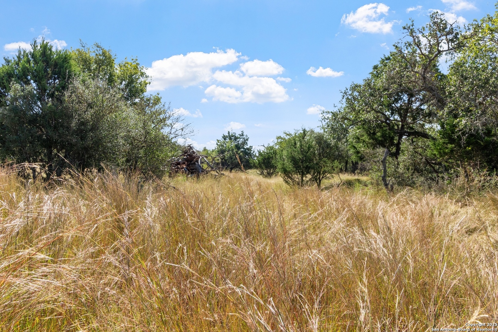 647 Funf Kinder Road Fredericksburg, TX 78624 - Photo 18 of 100 a view of lake with green space