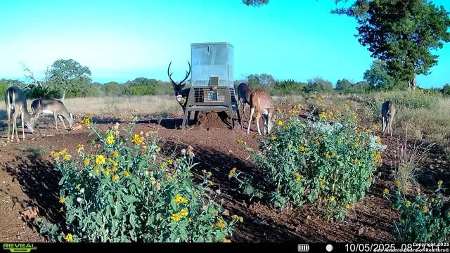 $1,717,223 | 647 Funf Kinder Road, Fredericksburg, TX 78624