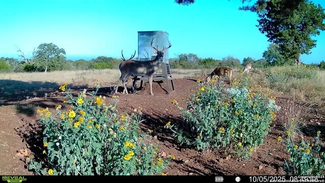 $1,717,223 | 647 Funf Kinder Road, Fredericksburg, TX 78624