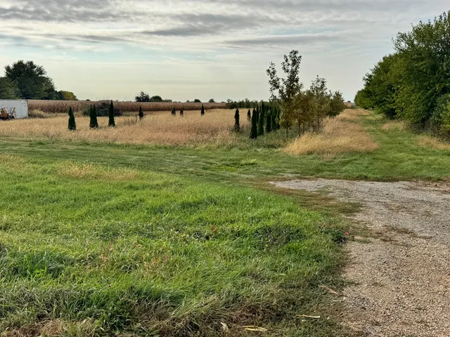 a view of a lake with houses